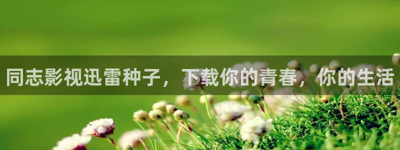 星海之外定档海报
