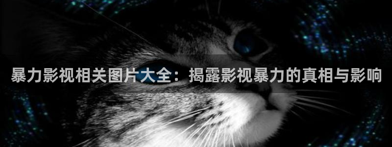 星海之外定档海报