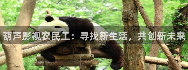 星海之外定档海报