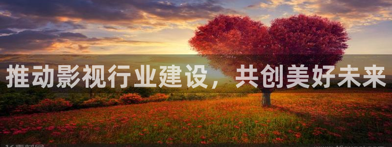 星海之外定档海报