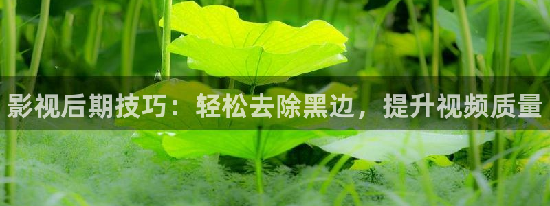 星海之外定档海报