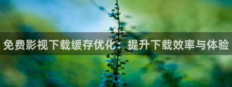 星海之外定档海报