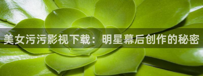 星海之外定档海报