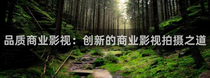 星海之外定档海报