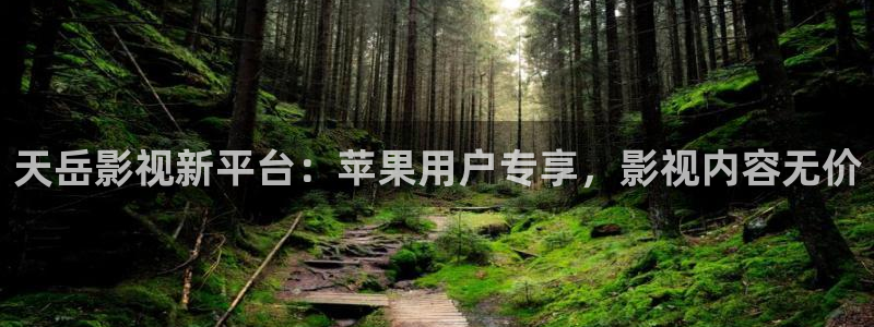 星海之外定档海报