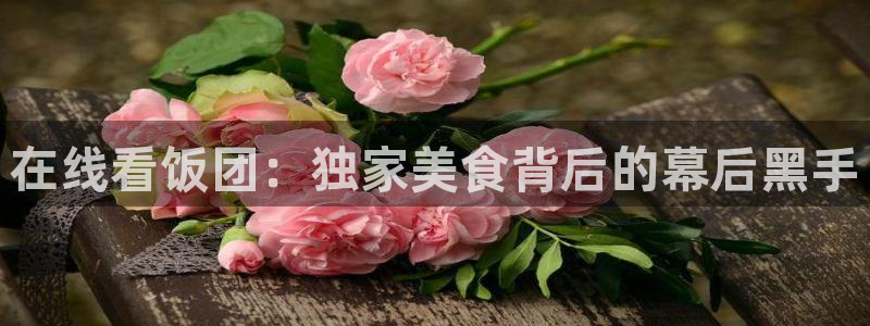 星海之外定档海报